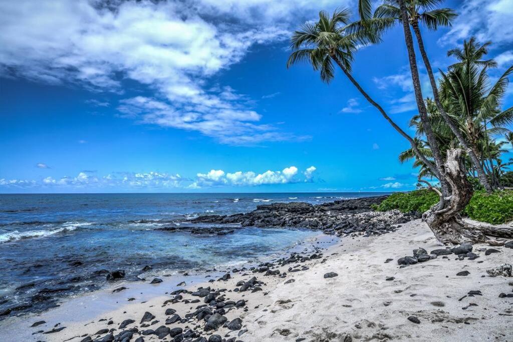 Newly Upgraded 1Br Unit Near Beach Max Of 5 Guests Kailua-Kona Exteriör bild