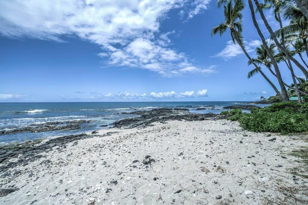 Newly Upgraded 1Br Unit Near Beach Max Of 5 Guests Kailua-Kona Exteriör bild