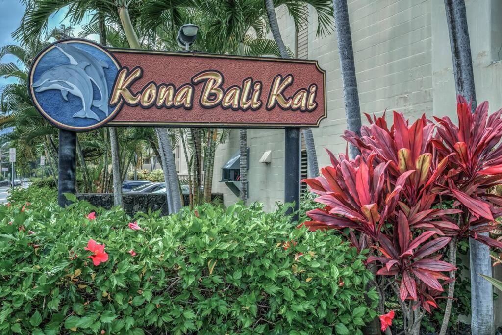Newly Upgraded 1Br Unit Near Beach Max Of 5 Guests Kailua-Kona Exteriör bild