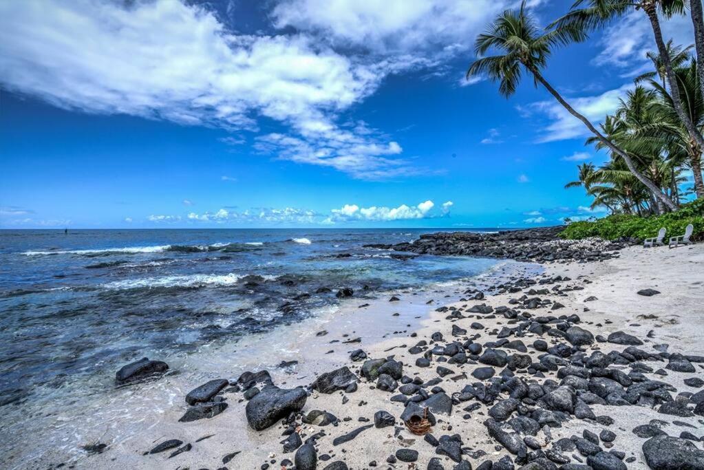 Newly Upgraded 1Br Unit Near Beach Max Of 5 Guests Kailua-Kona Exteriör bild