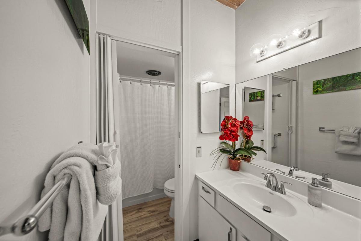 Newly Upgraded 1Br Unit Near Beach Max Of 5 Guests Kailua-Kona Exteriör bild